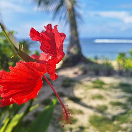 Bamboo Surf Beach San Isidro  Екстер'єр фото
