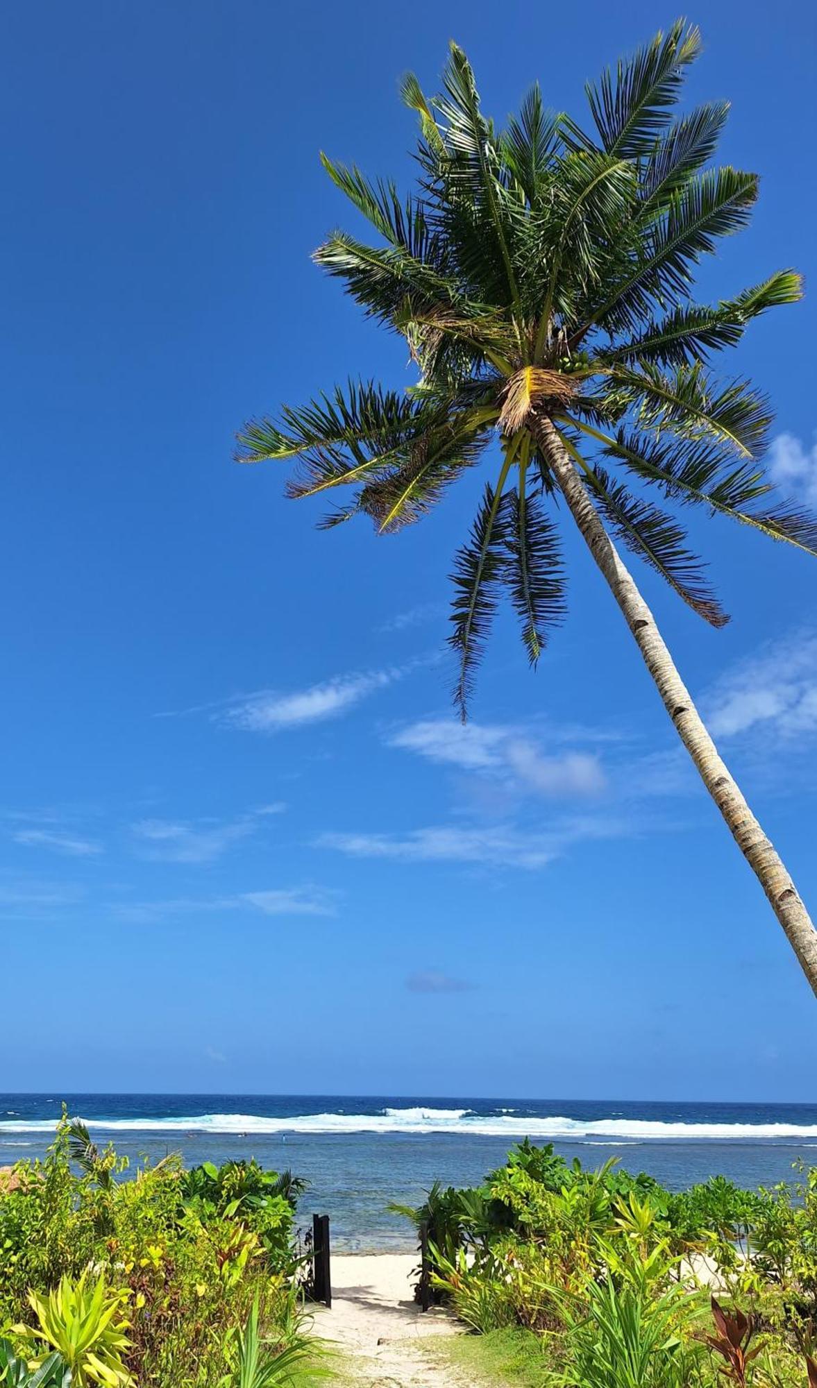 Bamboo Surf Beach San Isidro  Екстер'єр фото