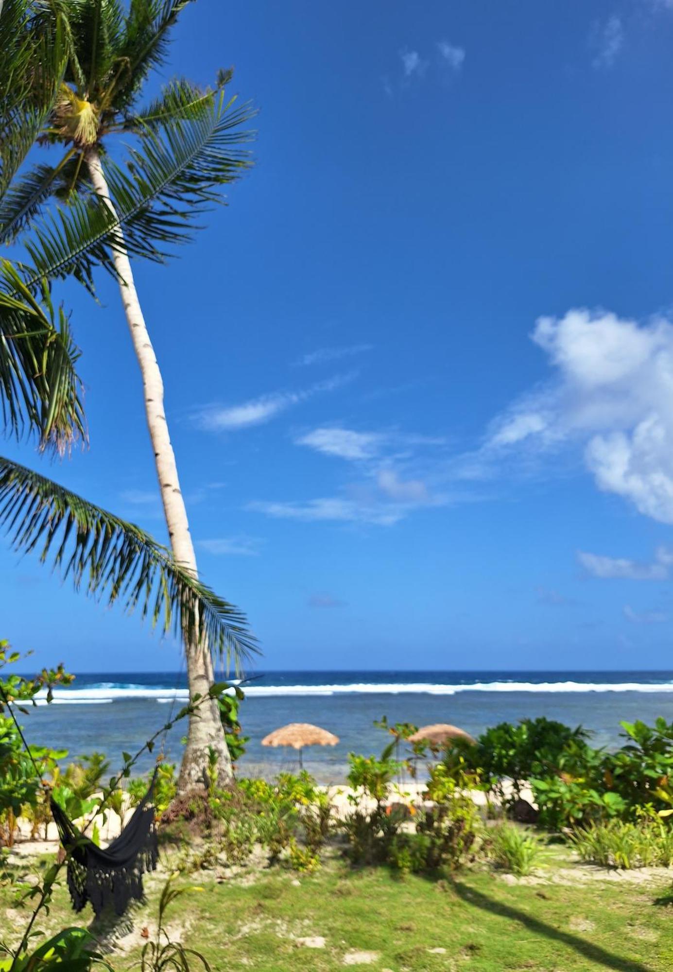 Bamboo Surf Beach San Isidro  Екстер'єр фото